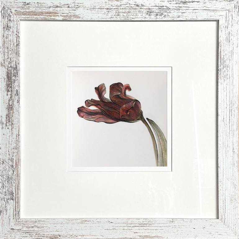 Original Contemporary Botanic Drawings by Victoria Alferonok