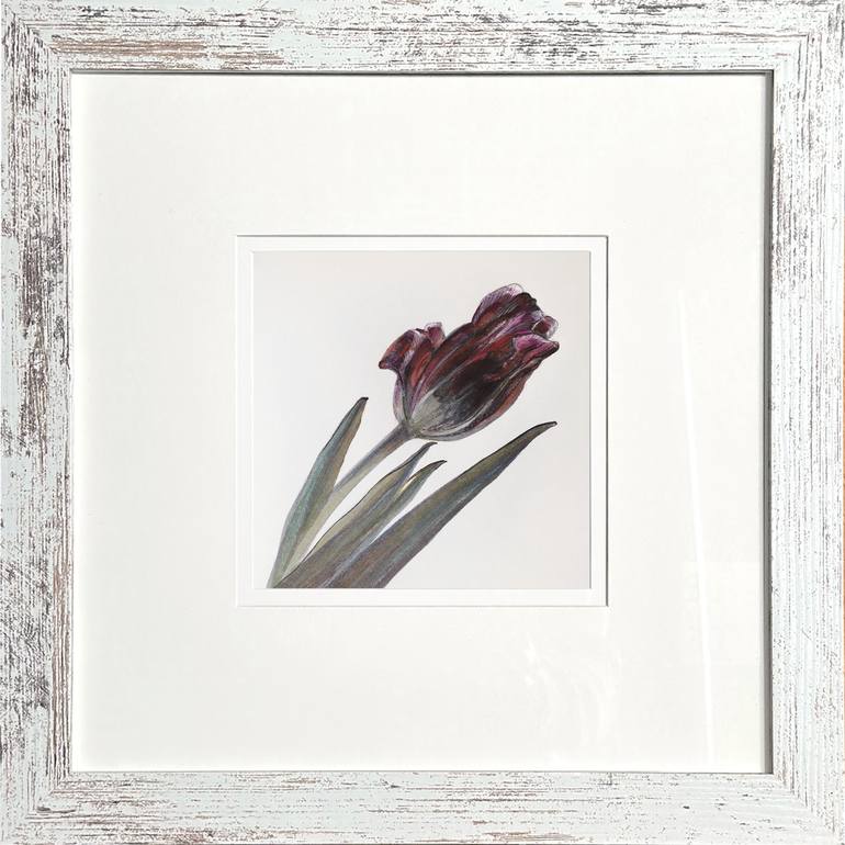 Original Contemporary Botanic Drawing by Victoria Alferonok
