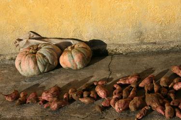 Print of Documentary Still Life Photography by Gustavo Rotondaro