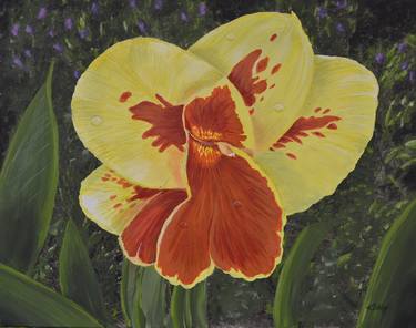 Original Realism Floral Paintings by Kimberley Eddy