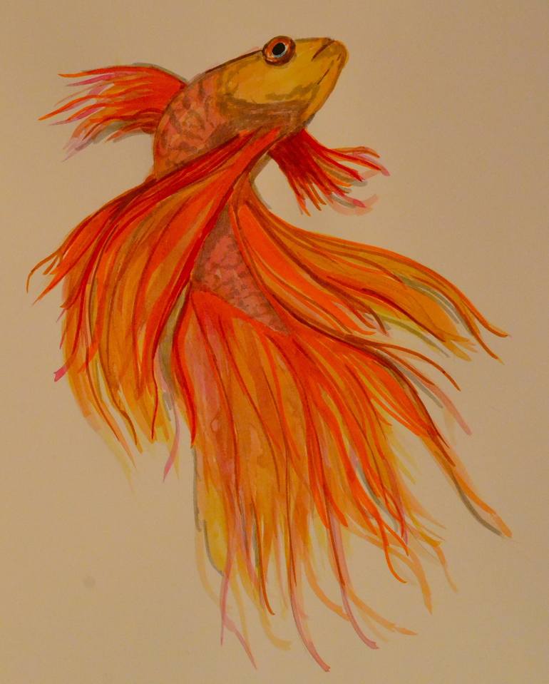 Betta Fish Ulu Drawing by Kimberley Eddy