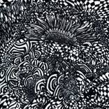 Abstract Sunflowers: Sunflower Sunset by Andrea Allegrone