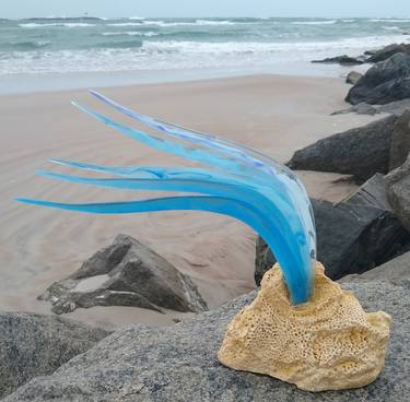 blue flow seaweed1 thumb