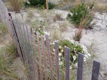 Wooden fence on sand dune at Asbury Park NJ thumb