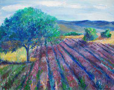 Provence Lavender Field thumb