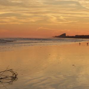 Collection NJ Boardwalk ,Seascapes and Landmark's