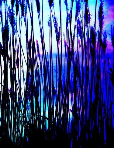 Abstract Reeds thumb