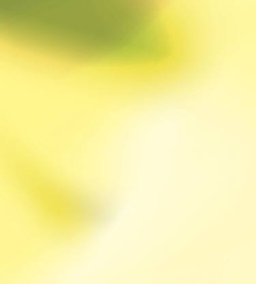 Original Abstract Expressionism Abstract Digital by Nywa Art Project