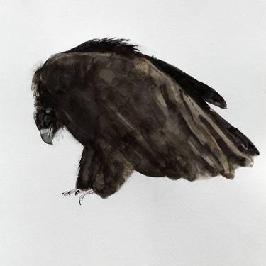 Animal: bird,  the Black kite (Milvus migrans) - Animals, acrylic and watercolor on paper and acrylic on canvas series thumb