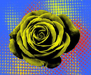 Pop art, floral portrait, pop rose, abstract portrait thumb