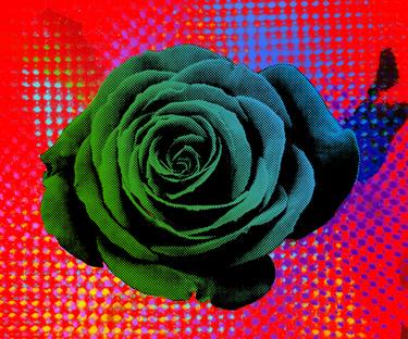 Rose, Pop art - Flower, floral pop art serie thumb