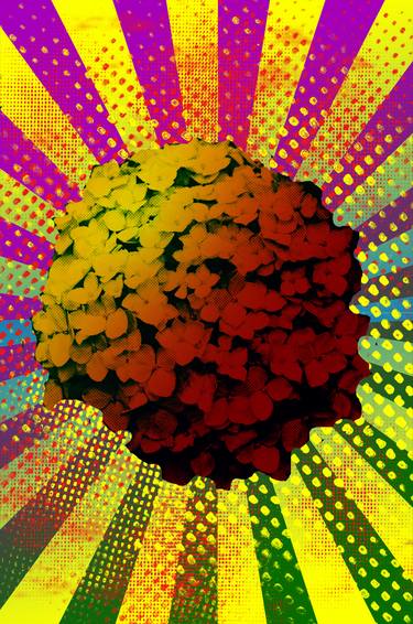 Hydrangea, hortensia - Pop art flower serie thumb