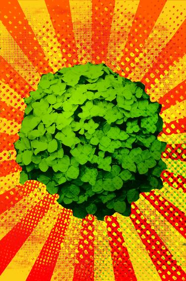 Hydrangea, hortensia - Pop art flower serie thumb