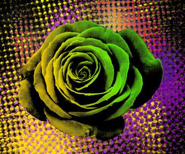 Pop rose, pop art - Digital paintng thumb