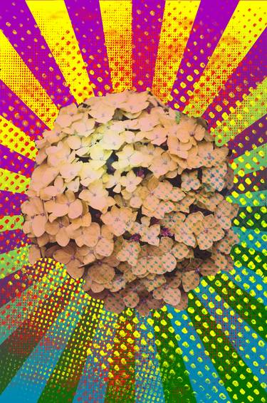 Hoternsia, pop art, abstract, colored flower thumb