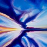 Collection Landscapes