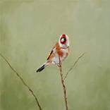 Goldfinch On A Branch by Matthieu van Riel