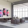 Installation -Corporate Lobby Pairs with Pink Sphere and Red Sphere