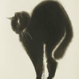 Collection Featured Prints