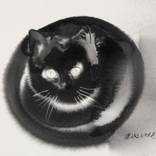 Collection Art for the Animal Lover