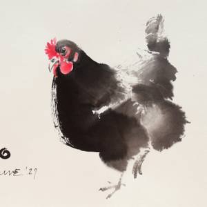 Collection Small Wonders