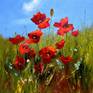 Collection Flower field, meadow, flowering grass, wildflowers, spring, summer landscape