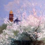 Blooming garden by Elena Lukina