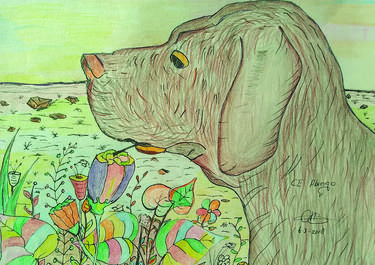 Dog in colorful flower garden thumb