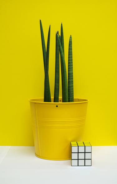 Original Still Life Photography by Marthe van de Grift