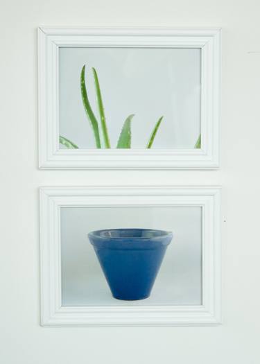 Original Still Life Photography by Marthe van de Grift