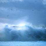 The Waves by Fernanda Montoro