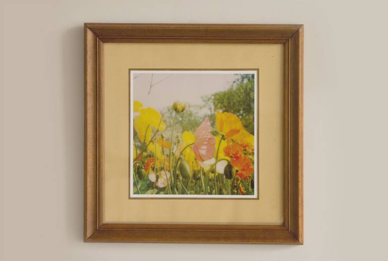 Original Other Botanic Photography by Fernanda Montoro