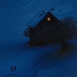 Carol by Felicia Simion
