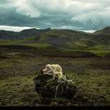 Rewired by Felicia Simion