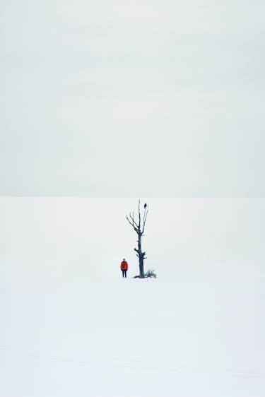 Print of Landscape Photography by Felicia Simion
