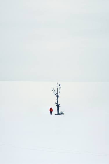 Print of Fine Art Landscape Photography by Felicia Simion