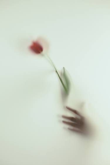 Print of Fine Art Botanic Photography by Felicia Simion