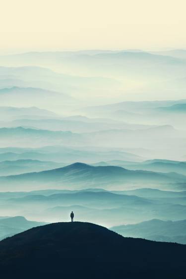 Original Fine Art Nature Photography by Felicia Simion