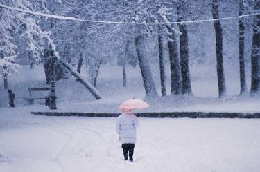 Print of Fine Art Seasons Photography by Felicia Simion