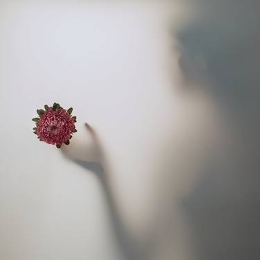 Original Fine Art Floral Photography by Felicia Simion