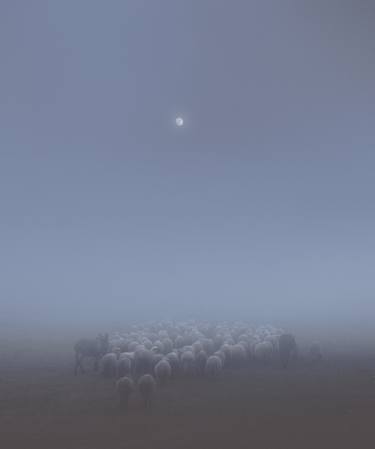 Sheep without a shepherd - Limited Edition of 10 thumb