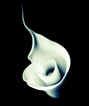 1 Calla Lily.  Limited Edition 15 of 100 thumb