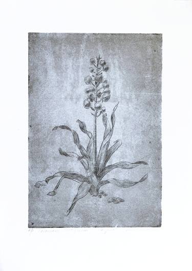 Print of Botanic Printmaking by Marianna Maslova
