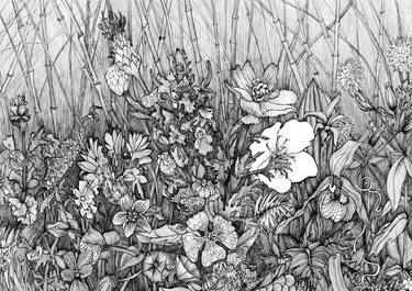 Print of Botanic Drawings by Marianna Maslova