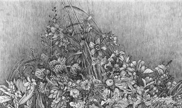 Original Realism Botanic Drawings by Marianna Maslova