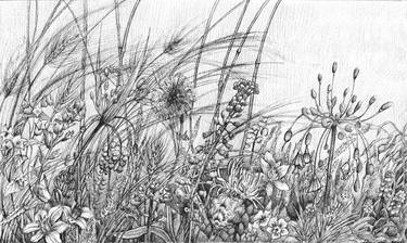 Original Botanic Drawings by Marianna Maslova