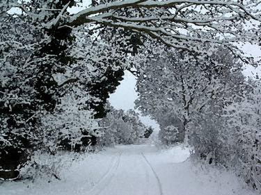 Snow in Suffolk thumb