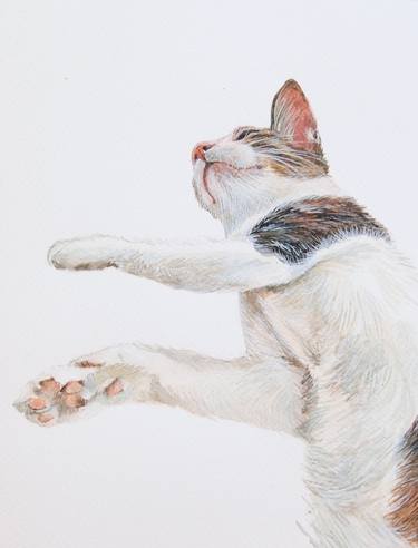 Print of Cats Paintings by Venie Tee