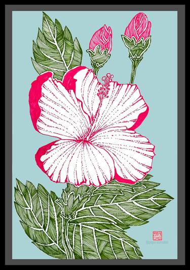 Hibiscus (version 1) thumb