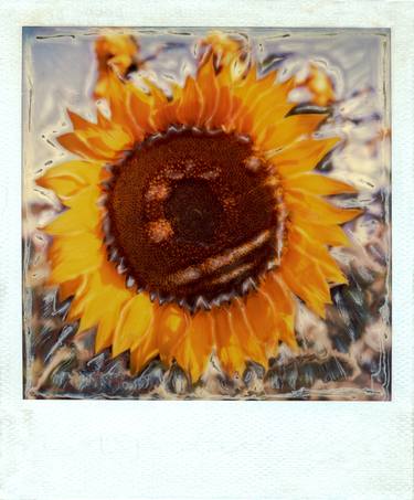 Print of Floral Photography by Mario Pellicciotta
